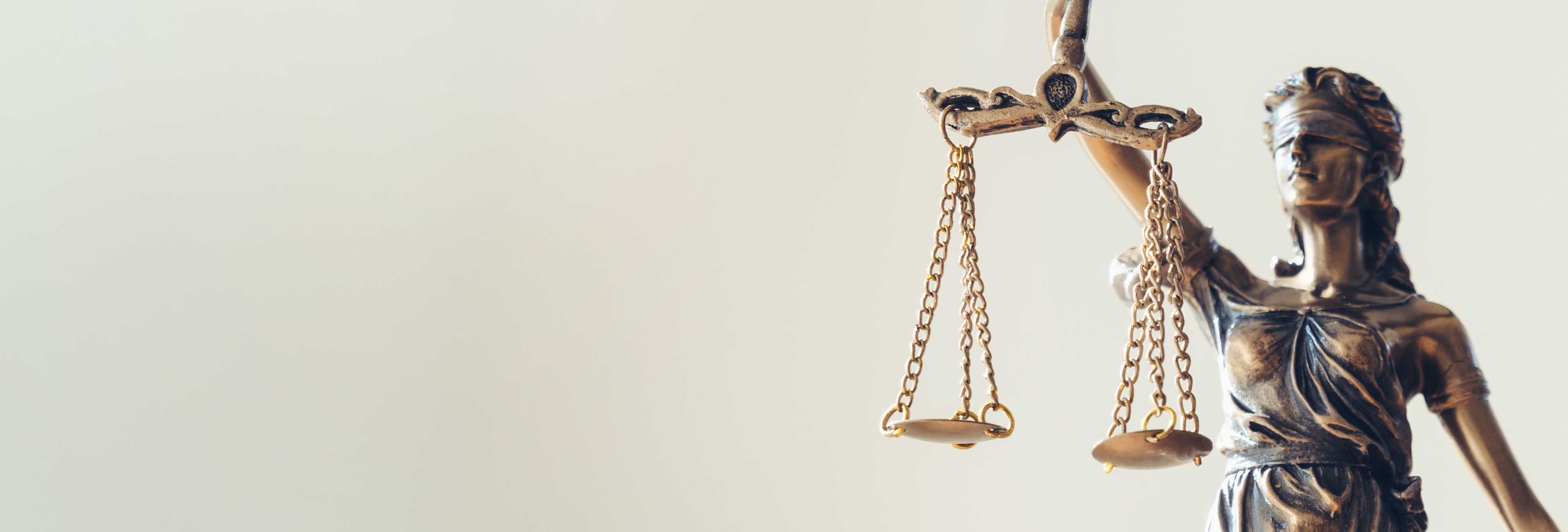 Hero section Lady Justice